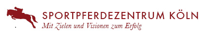 „Brüse GbR“-Logo, zur Startseite