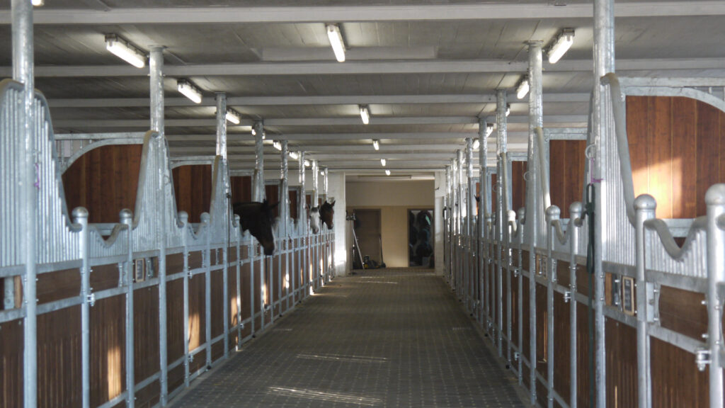 Innenansicht eines Stalls mit braunen Boxenreihen und Pferden, strukturiertes Metallgitter.