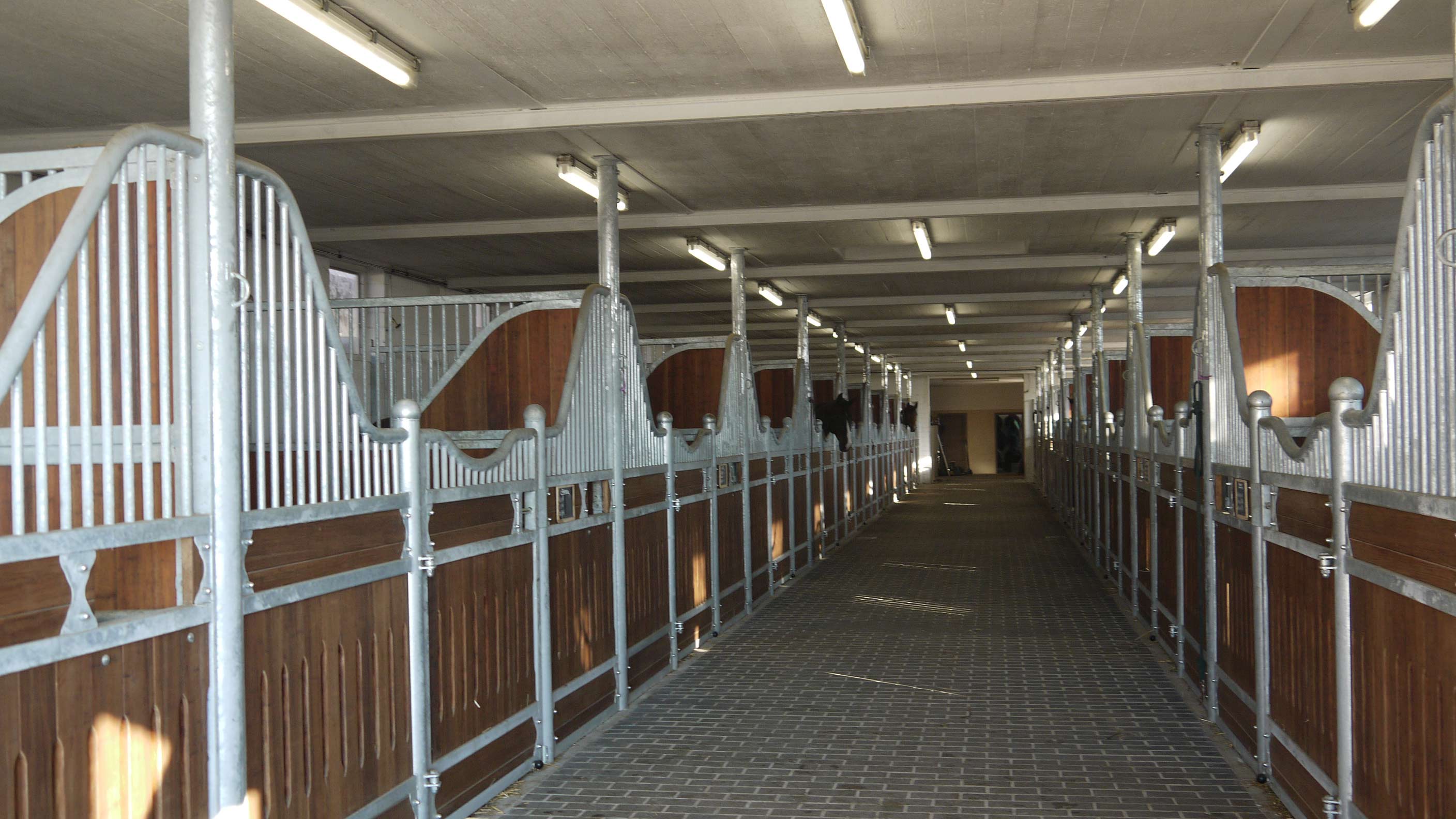 Ein leerer, heller Pferdestall mit Holzwänden und Metallgitter in symmetrischer Anordnung.