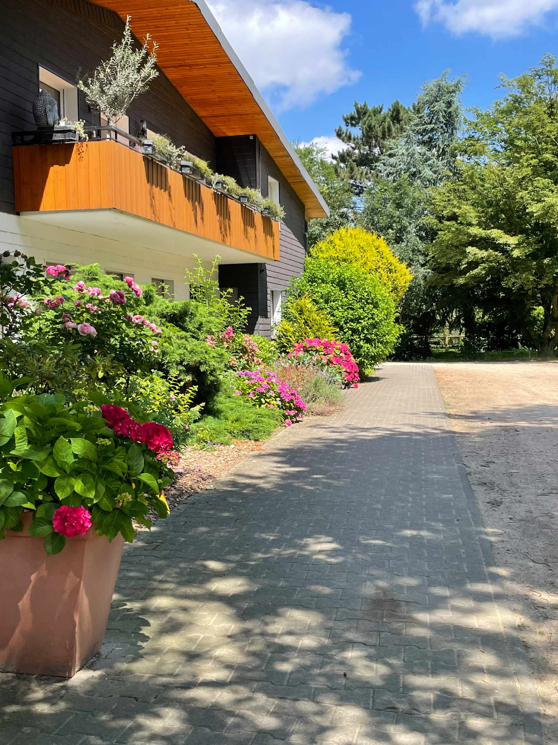 Ein schattiger Gartenweg mit blühenden Sträuchern und einem Holzhaus im Hintergrund.