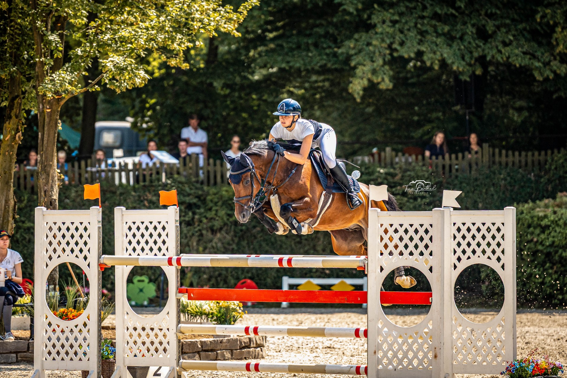Eine Reiterin springt auf einem braunen Pferd über ein Hindernis im Freien.